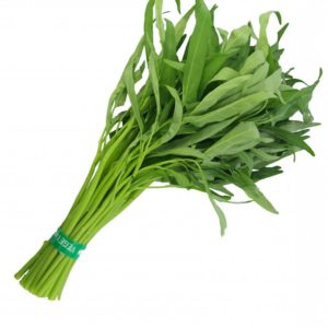 kangkong